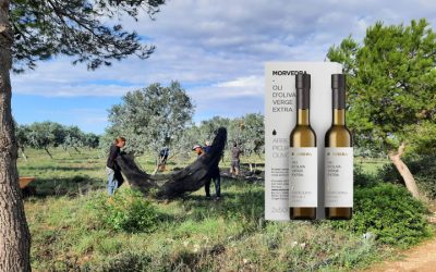 MORVEDRA VELL Olive Farm