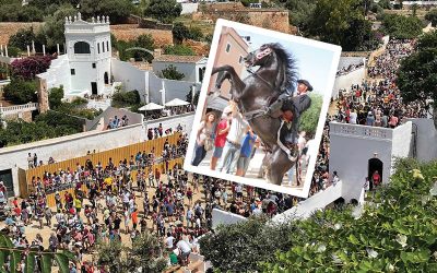 Experience The ESSENCE OF SAINT JOAN
