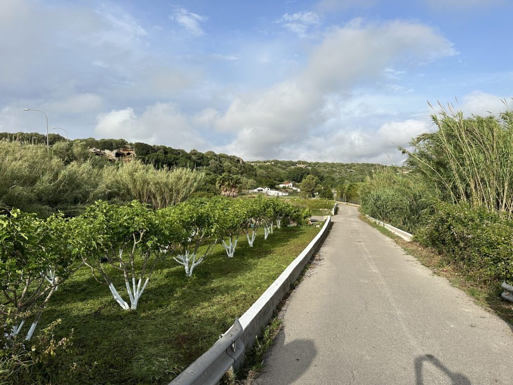 A STUNNING Morning Walk