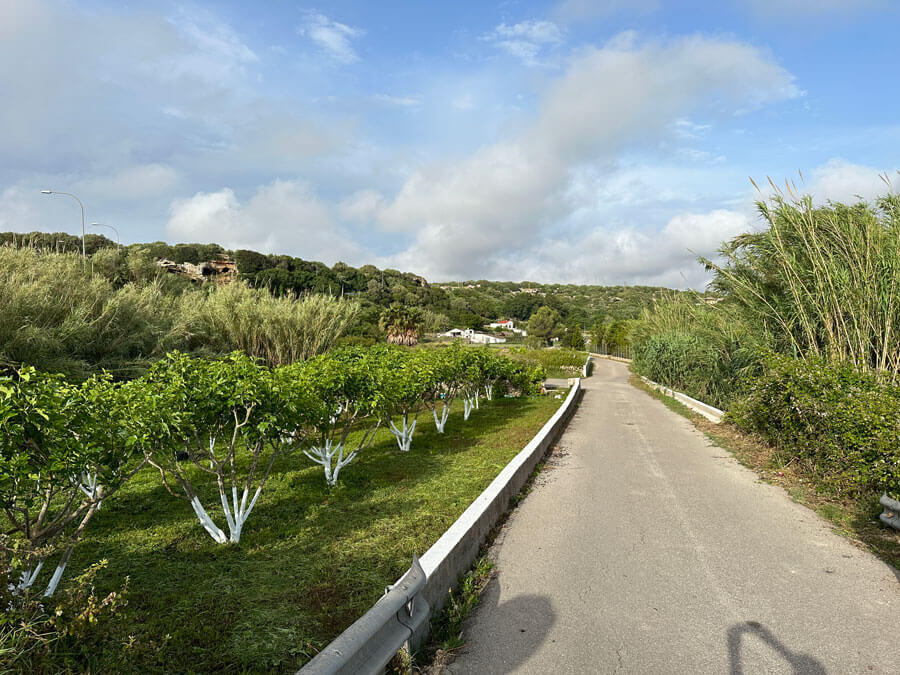 1 - Warne's - Mahon Figure of 8 walk 1 - Warne's - Mahon Figure of 8 walk