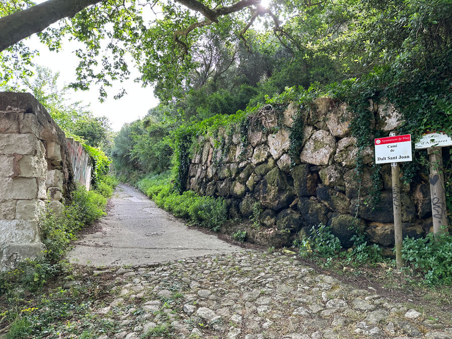 10 - Warne's - Mahon Figure of 8 walk 10 - Warne's - Mahon Figure of 8 walk