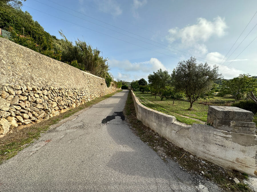 4 - Warne's - Mahon Figure of 8 walk 4 - Warne's - Mahon Figure of 8 walk