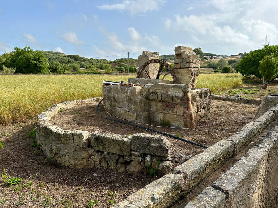 5 - Warne's - Mahon Figure of 8 walk 5 - Warne's - Mahon Figure of 8 walk