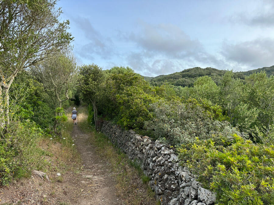 7 - Warne's - Mahon Figure of 8 walk 7 - Warne's - Mahon Figure of 8 walk