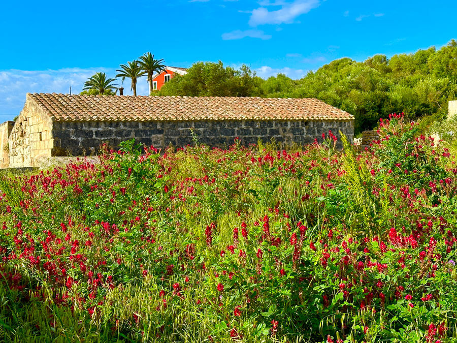 8 - Warne's - Mahon Figure of 8 walk 8 - Warne's - Mahon Figure of 8 walk