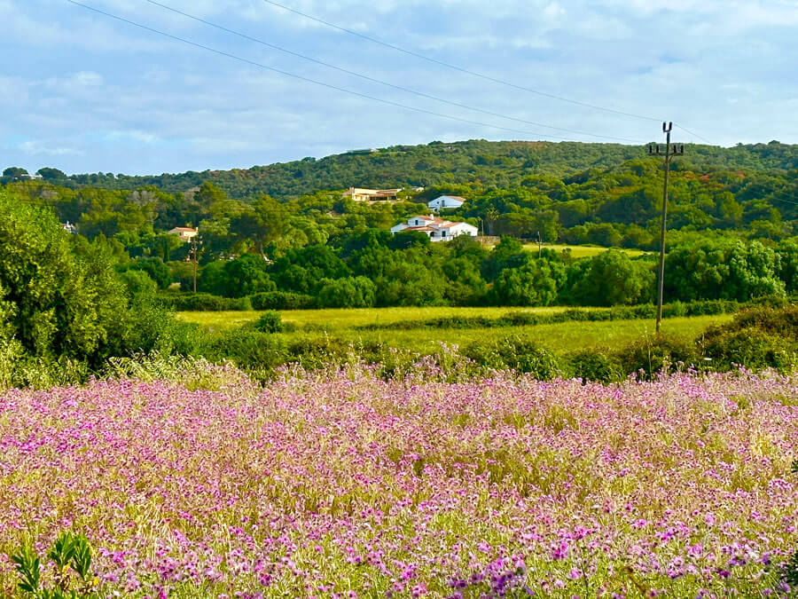 9 - Warne's - Mahon Figure of 8 walk 9 - Warne's - Mahon Figure of 8 walk